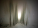 The Avenue Photographic Print by Josh Adamski