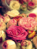 Letters from Roses Photographic Print by Alaya Gadeh