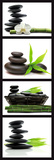 Zen Posters