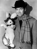 Harvey, Harvey the Rabbit, James Stewart, 1950 Posters