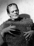 Son of Frankenstein, Boris Karloff, 1939 Posters