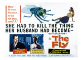 The Fly, Vincent Price, Patricia Owens, 1958 Photo