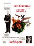 The Birds, (AKA 'Alfred Hitchcock's the Birds'), Alfred Hitchcock, Tippi Hedren, 1963 Prints