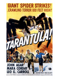 Tarantula, John Agar, Mara Corday, 1955 Affiches