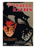 The Black Cat, (AKA Den Svarta Katten), L-R: Boris Karloff, Bela Lugosi, 1934 Posters