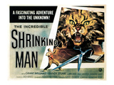 The Incredible Shrinking Man, 1957 Posters