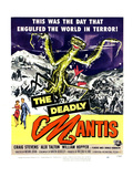 The Deadly Mantis, Bottom From Left: Alix Talton, Craig Stevens, 1957 Prints