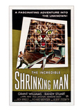 The Incredible Shrinking Man, 1957 Prints