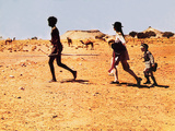 Walkabout, David Gulpilil, Jenny Agutter, Lucien John, 1971 Posters