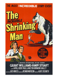 The Incredible Shrinking Man, 1957 Prints