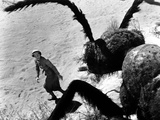 Them!, Joan Weldon, 1954 Prints