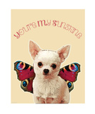 Youre My Sunshine Reproduction procédé giclée Premium par Natasha Wescoat
