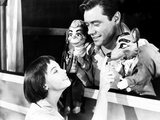 Lili, Leslie Caron, Mel Ferrer, 1953 Fotografía