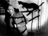 The Black Cat, David Manners, 1934 Prints