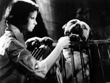 Eyes Without A Face, (AKA Les Yeux Sans Visage), Edith Scob, 1960 Prints