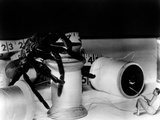 The Incredible Shrinking Man, Grant Williams, 1957 Photo