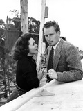 Ruby Gentry, Jennifer Jones, Charlton Heston, 1952 Prints
