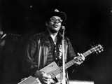 Let The Good Times Roll, Bo Diddley, 1973 Posters