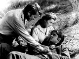 Love Me Tender, Richard Egan, Debra Paget, Elvis Presley, 1956, Dying Posters Love Me Tender, Richard Egan, Debra Paget, Elvis Presley, 1956, Dying Posters