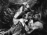 A Midsummer Night's Dream, Anita Louise, James Cagney, 1935 Photo