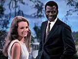 Guess Who's Coming To Dinner, Katharine Houghton, Sidney Poitier, 1967 Posters