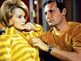 Point Blank, Angie Dickinson, John Vernon, 1967 Posters