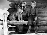 Shane, Brandon De Wilde, 1953 Print