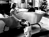 The Awful Truth, Irene Dunne, Asta, Cary Grant, 1937 Posters