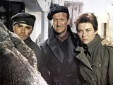 The Guns Of Navarone, James Darren, David Niven, Gia Scala, 1961 Plakat