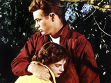 Rebel Without A Cause, Natalie Wood, James Dean, 1955 Posters