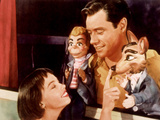 Lili, Leslie Caron, Mel Ferrer, 1953 Lámina