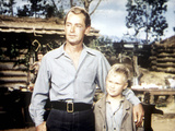 Shane, Alan Ladd, Brandon De Wilde, 1953 Posters