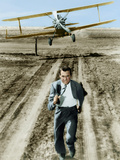 North By Northwest, Cary Grant, 1959 Posters