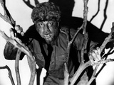 The Wolf Man, Lon Chaney, Jr., 1941 Prints