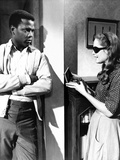 A Patch Of Blue, Sidney Poitier, Elizabeth Hartman, 1965 Posters