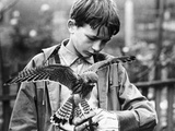 Kes, David Bradley, 1969 Photo