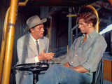 Home From The Hill, Robert Mitchum, George Hamilton, 1960 Posters