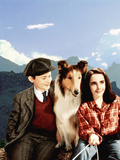 Lassie Come Home, Roddy McDowall, Lassie, Elizabeth Taylor, 1943 Póster Lassie Come Home, Roddy McDowall, Lassie, Elizabeth Taylor, 1943 Póster