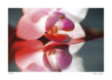 Floral Elements 10 Limited Edition by Florence Delva