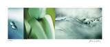 Perle D'Eau Limited Edition by Florence Delva