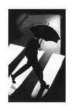 Zebra Crossing Print by David Cowden