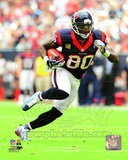 Andre Johnson 2012 Action Photo