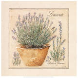 Herbes de Provence II Art by Laurence David