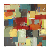 Maps & Legends 1 Limited edition van David Bailey