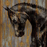 Horse I Art by Martin Rose