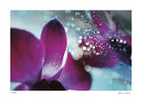 Floral Elements 11 Limited Edition by Florence Delva
