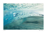 H2O 3 Limited Edition by Florence Delva