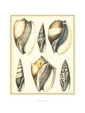 Of Sea and Shore V Giclee Print by Kobelt 
