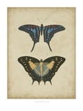 Antique Butterfly Pair III Giclee Print by Vision Studio