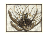 Fresco Flowerhead IV Giclee Print by Slocum Nancy